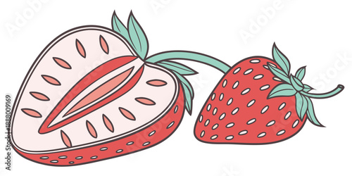 Strawberry cross section