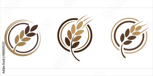 Set of three organic wheat grain logos in natural brown tones for agricultural and food branding vector illustration.