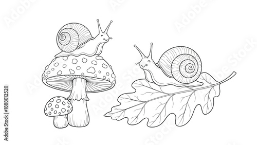 Black and white line art illustration of two cute snails crawling on a mushroom and an oak leaf for coloring books.