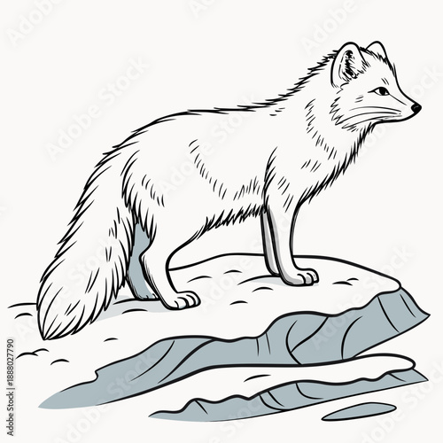 Arctic fox standing on ice