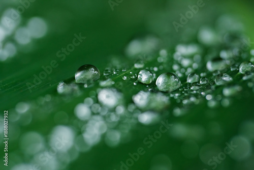 Gotas de agua