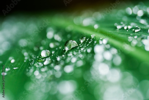 Gotas de agua