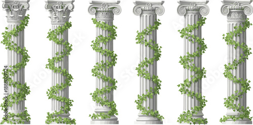 Set of classical stone columns with ivy vines vector illustration, ancient Greek Roman architecture pillars for garden design