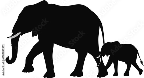 Elephant Walking With A Calf In The Savanna Silhouette