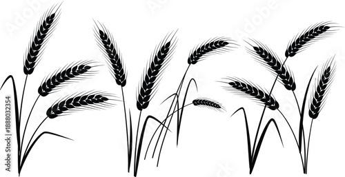 Wheat and barley ear silhouette illustration set for agriculture farming harvest grain field and rural designs