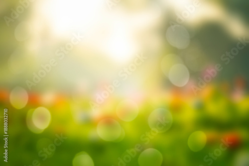 Blurred bokeh nature background with colorful flowers in the garden