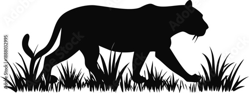 Silhouette Of A Tiger Walking Through Tall Grass