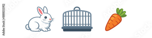 full color flat rabbit white cage gray carrot orange