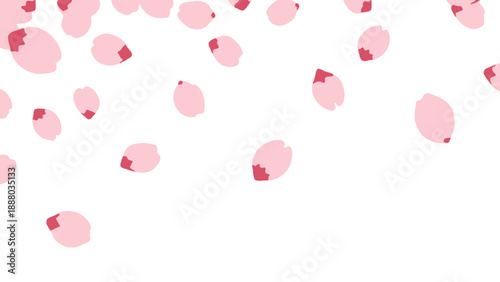 Falling Cherry Blossom Petals on White Background, Spring Floral Decoration