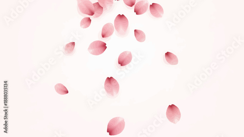 Falling Pink Cherry Blossom Petals Gentle Drift on Soft White Background