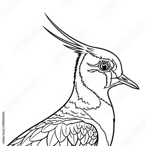 Vector file placeholder for design projects and graphic illustration