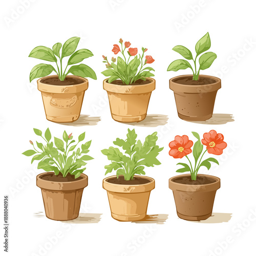 Set of green herbs and vegetable seedlings in terracotta pots for organic kitchen garden and sustainable lifestyle