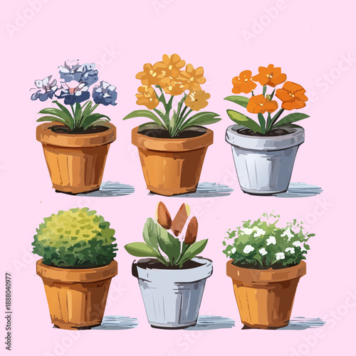 Set of blue lavender and purple field flowers in clay pots for rustic lavender farm and garden aesthetic