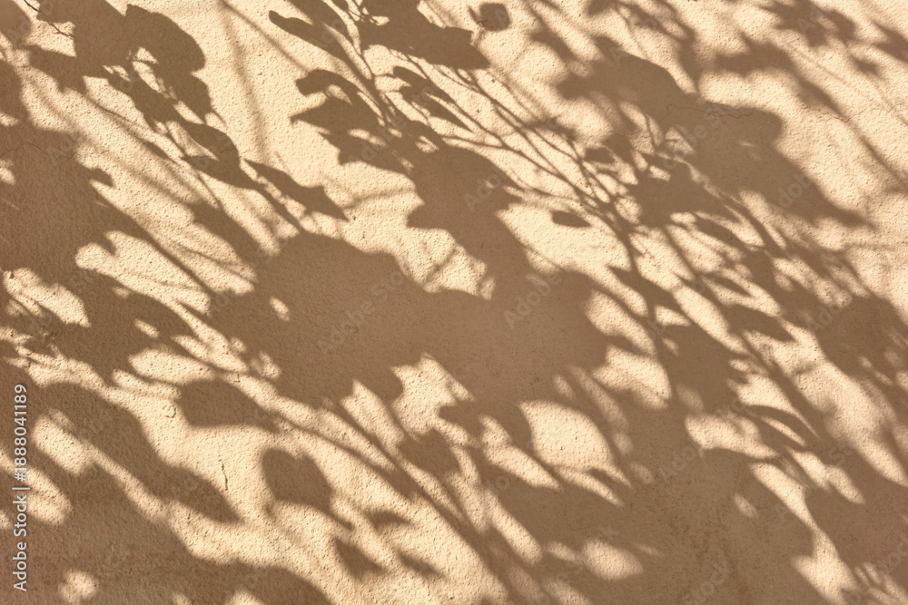Fototapeta premium Natural sunlight and leaf shadows on beige concrete wall. Realistic leaves shadow overlay on sand color texture background. Minimal summer concept. Copy space for spring project, product display