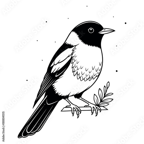 Vector file placeholder for design, ready for your creative content and graphic projects