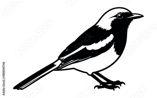 Vector file placeholder for design, ready for your creative content and graphic projects