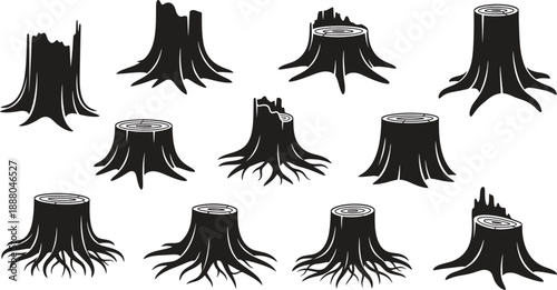 Collection of various tree stumps with roots and trunks