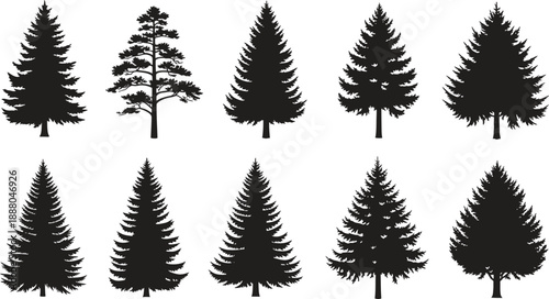 Collection of various evergreen tree silhouettes on white background