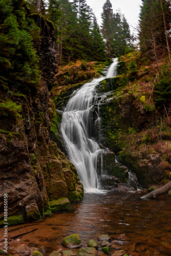 Obraz premium waterfall in the woods