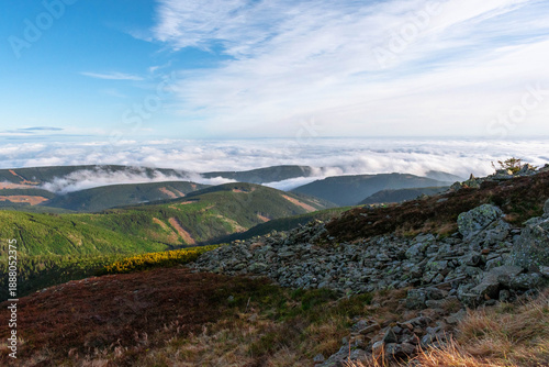 mountain landscape in autumn