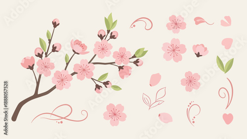 Cherry Blossom Branch with Petals and Swirls - Spring Illustration