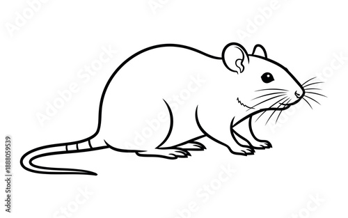 black rat outline.