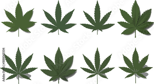 Bamboo Leaf Vector Illustration Set  Natural Foliage and Botanical Elements