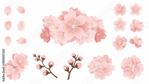 Cherry Blossom Elements: Flowers, Petals, and Buds