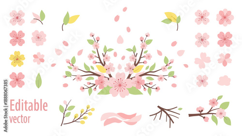 Cherry Blossom Elements: Flowers, Petals, Branches, Leaves, Spring Vector Set