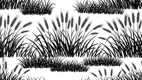 Wheat and grass silhouettes vector set, meadow field borders and wild cereal plants, natural vegetation elements, rural landscape design, black and white illustration