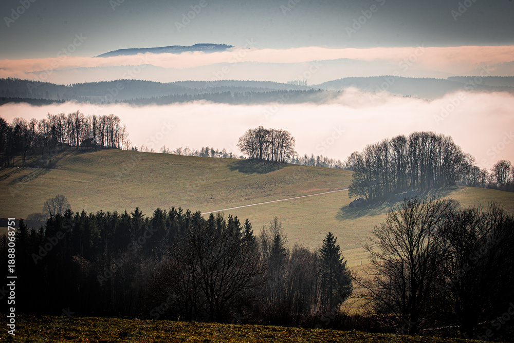 Obraz premium Neblige Landschaft im Querformat mit Sonnenstrahlen, Wiesen und Fichtenwald in Thüringen