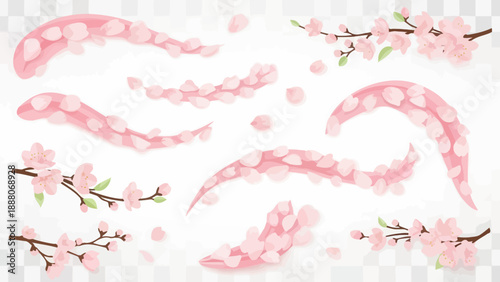 Cherry Blossom Petals Falling and Branches with Flowers