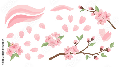 Cherry Blossoms Spring Elements: Flowers, Petals, Branches, and Buds