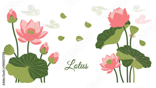 Pink lotus flowers blooming in water with green leaves and petals illustration