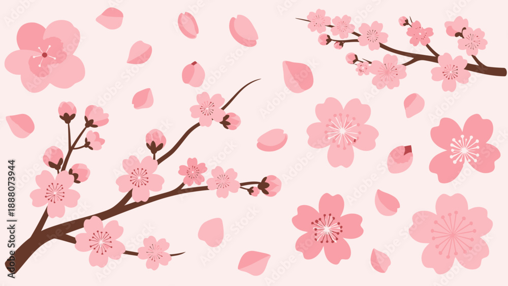 Fototapeta premium Pink Cherry Blossom Branches and Petals Falling on Light Pink Background