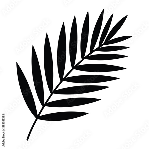 Simple black silhouette of a single palm leaf on a white background