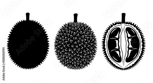 Detailed illustration of three different views of a spiky fruit or seed pod, showcasing its texture and internal structure in a clean and simple design.