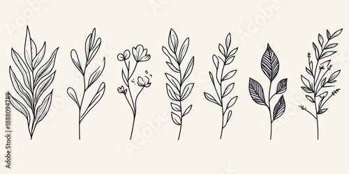 Hand drawn botanical line art set with various leaves and small flowers minimalist black ink sketch style isolated on light background vector illustration for natural design elements and decoration