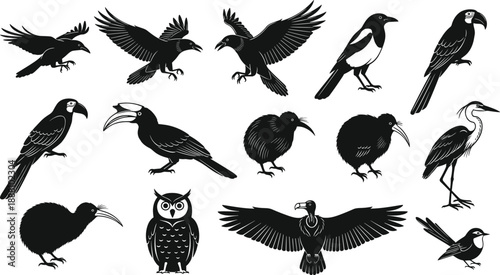 Bird silhouette collection with flying and standing species, raven, magpie, owl, kiwi and exotic birds, black white wildlife illustration set