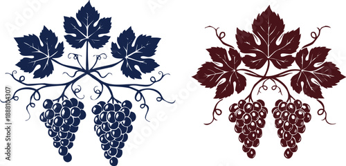 Grape vine leaves and fruit bunch silhouettes for wine label design composition