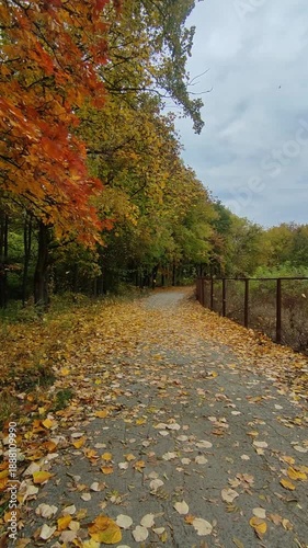 Autumn park pathway covered with golden leaves gently falling from trees in a light breeze under a calm cloudy sky