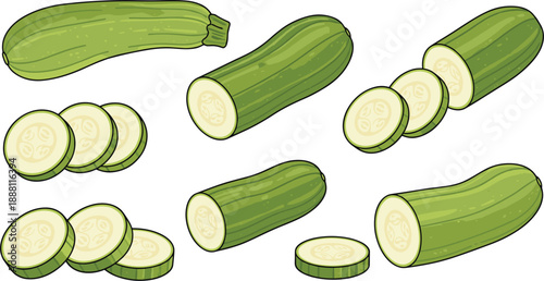 Hand-Drawn Zucchini Illustration Set Featuring Whole and Sliced Vegetable Pieces