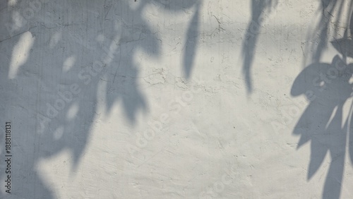Quadro em tela Leaves cast shadows on a white concrete wall, creating an abstract background of sunlight dappled through tree branches, creating a simple and modern nature pattern