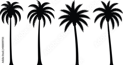 Palm tree silhouette illustration, black tropical shapes, frond variations, white background, botanical and landscape design reference