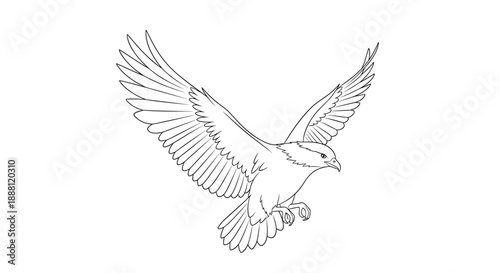 Detailed black and white line art illustration of a majestic bird of prey with wings spread wide in a mid flight landing pose against white.