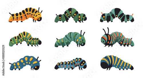 Collection of nine diverse caterpillar illustrations featuring various colors, patterns, and shapes on a white background for educational use.