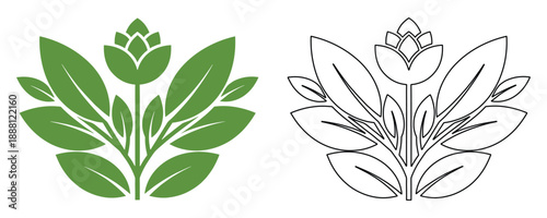 Green stylized vector illustration of hops plant or stylized flower with leaves isolated on background