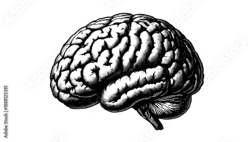 Vintage Halftone Brain Illustration Side Profile isolated on transparent background