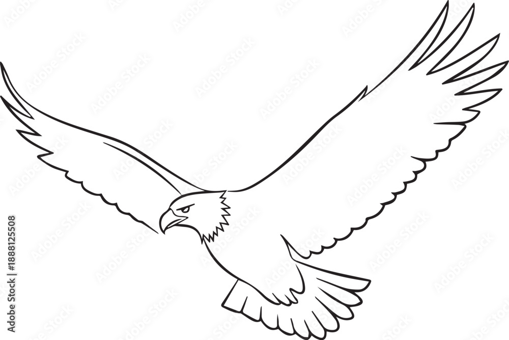 Obraz premium A striking line drawing depicts a majestic bald eagle in flight