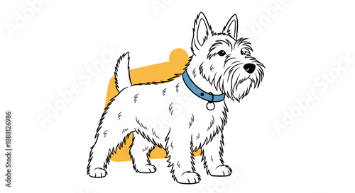 Friendly white terrier dog wearing a blue collar standing in front of an abstract yellow shape on a white background.